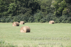 2013_ERV_mb_img_1724_9705561914_o