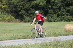2013_ERV_mb_img_1761_9705614330_o